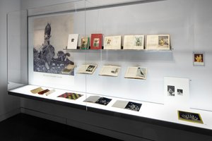 Einblick in die Ausstellung Banana Circus